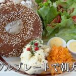 sesame seed bagel with cream cheese, greens, potato salad, shredded carrot and two deviled eggs on a white plate