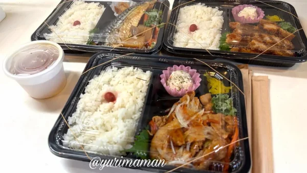 テイクアウト愛優の手作り500円弁当 - ゆりママんブログ テイクアウト愛優の手作り500円弁当