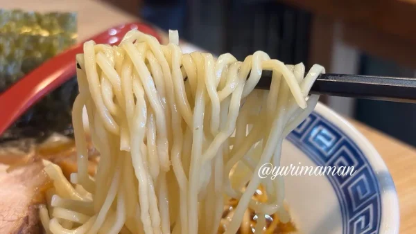 追い煮干し中華そばの細麺
