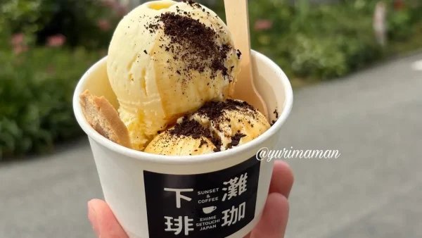 下灘珈琲の珈琲屋さんのアイスクリーム2