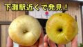 下灘駅近くの下灘住宅で販売されているOhisama Bagel