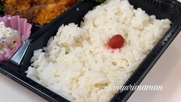 テイクアウト愛優のご飯のボリューム(普通盛り) - ゆりママんブログ テイクアウト愛優のご飯のボリューム(普通盛り)