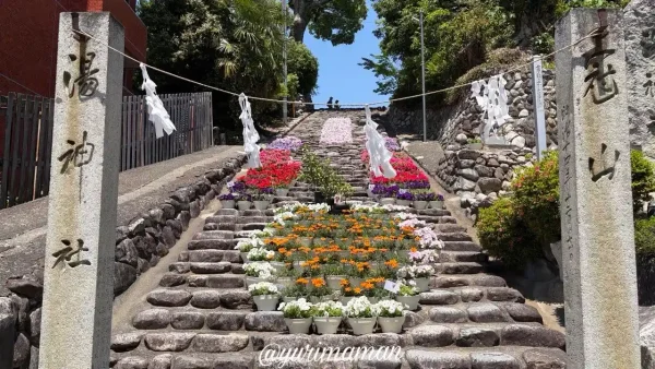 植樹祭に合わせて花で彩られた道後の湯神社石段 - ゆりママんブログ 植樹祭に合わせて花で彩られた道後の湯神社石段