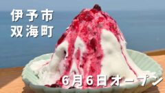 伊予市双海町のCAFE HUGで味わうミックスベリーかき氷と海の景色