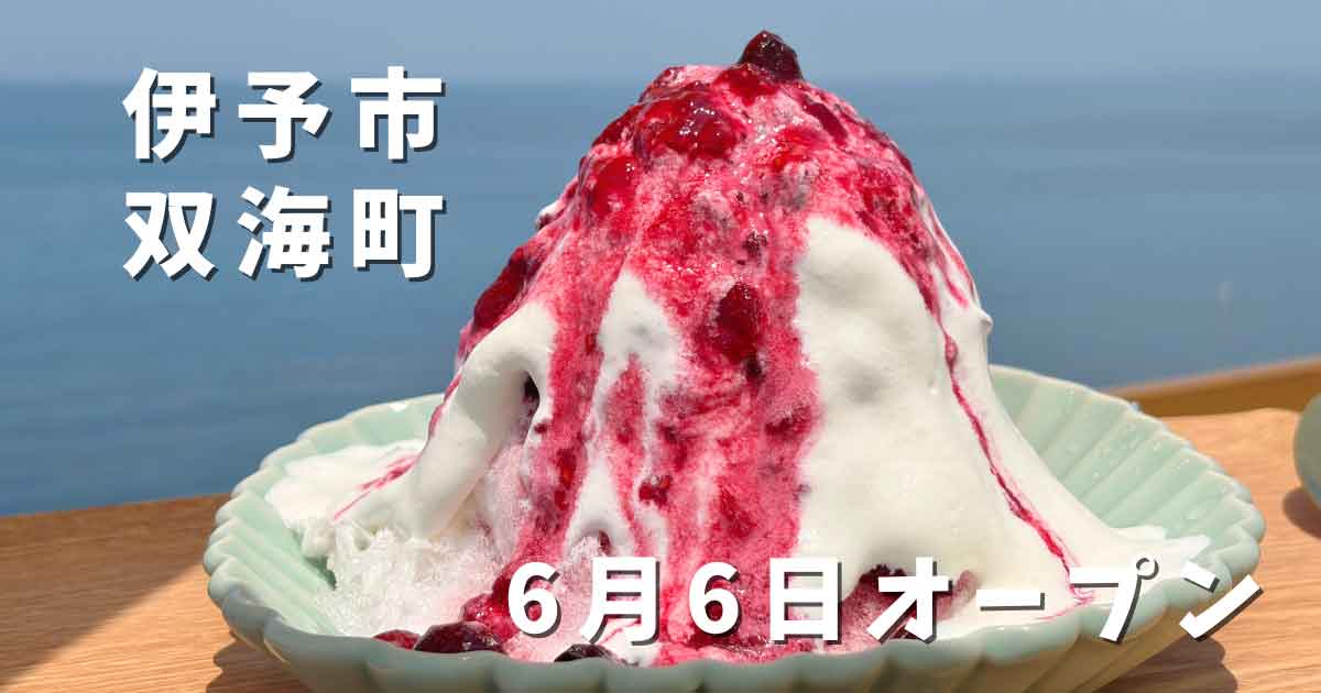 伊予市双海町のCAFE HUGで味わうミックスベリーかき氷と海の景色