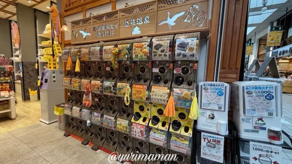 道後湯之町十五万石MASARU店内に並ぶガチャガチャ
