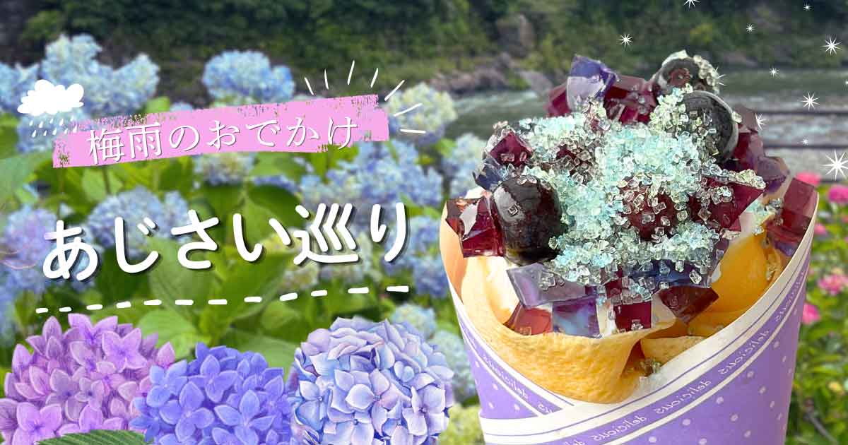 愛媛県であじさいスポットと限定スイーツを巡る梅雨のドライブ