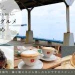 伊予市双海町の海が見えるカフェやランチ、グルメスポットをまとめたドライブ特集