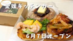 HANA's & Co.で購入した4種類の天然酵母ピザ
