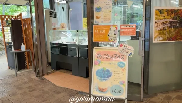 内子町フレッシュパークからりジェラート工房のあじさいアイス - ゆりママんブログ 内子町フレッシュパークからりジェラート工房のあじさいアイス