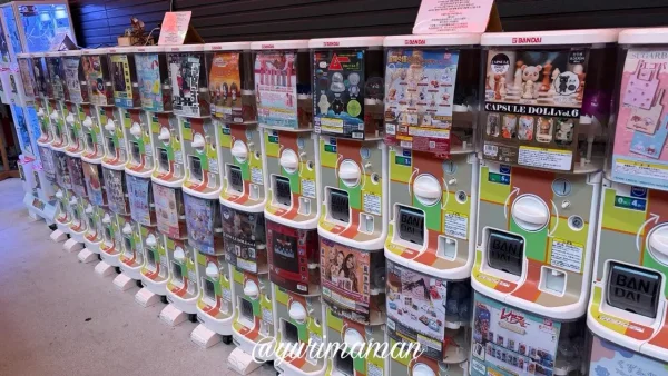絣屋本店で見つけたガチャガチャコーナー