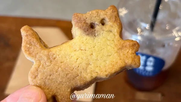 marugo coffee standの猫型クッキー