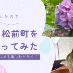 松山総合公園のあじさいとMIROQUの抹茶かき氷を楽しむ松山・松前町ドライブ