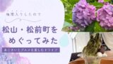 松山総合公園のあじさいとMIROQUの抹茶かき氷を楽しむ松山・松前町ドライブ