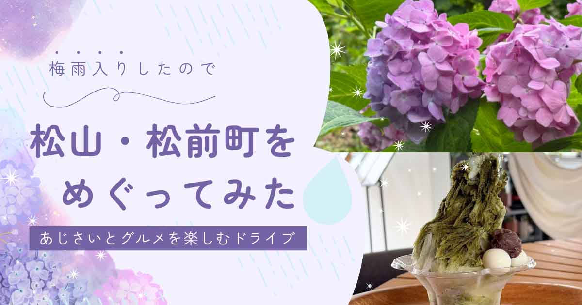松山総合公園のあじさいとMIROQUの抹茶かき氷を楽しむ松山・松前町ドライブ