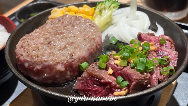 鉄板で焼きながら楽しむとろけるハンバーグとハラミステーキのアップ - ゆりママんブログ 鉄板で焼きながら楽しむとろけるハンバーグとハラミステーキのアップ