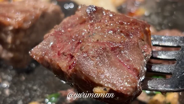 とろけるハンバーグ福よしのハラミステーキ - ゆりママんブログ とろけるハンバーグ福よしのハラミステーキ