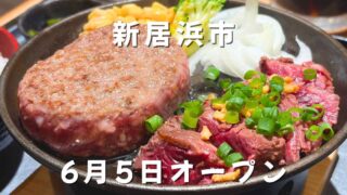 新居浜市とろけるハンバーグ福よしのハンバーグとハラミステーキランチ