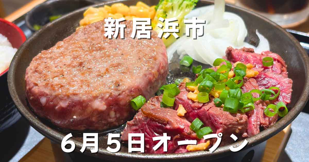 新居浜市とろけるハンバーグ福よしのハンバーグとハラミステーキランチ
