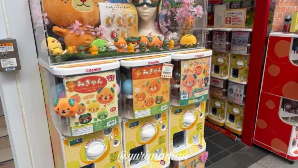 ガチャ王国オズコレボ大街道店に並ぶガチャガチャ02 - ゆりママんブログ ガチャ王国オズコレボ大街道店に並ぶガチャガチャ02