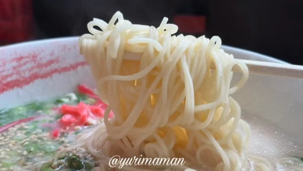 細麺を持ち上げたらーめん笑福の豚骨ラーメン1
