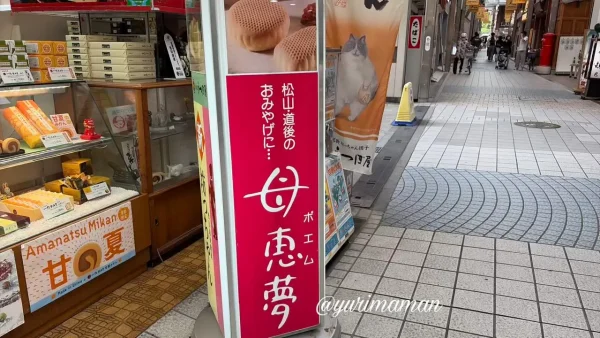 道後商店街に設置された母恵夢の看板
