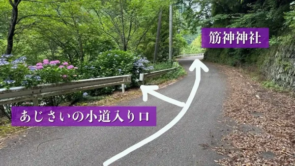 筋神神社とあじさいまでの道順（西条市藤之石）2