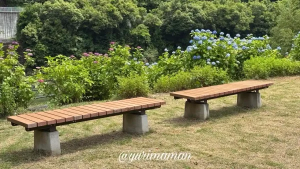 肱川沿いのベンチとあじさいが楽しめる清流の里ひじかわ - ゆりママんブログ 肱川沿いのベンチとあじさいが楽しめる清流の里ひじかわ
