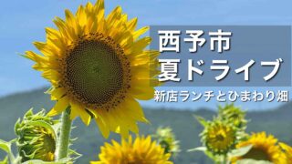 西予市の夏ドライブ 新店ランチとたいよう農園・豆道楽のひまわり畑 - ゆりママんブログ 西予市の夏ドライブ 新店ランチとたいよう農園・豆道楽のひまわり畑