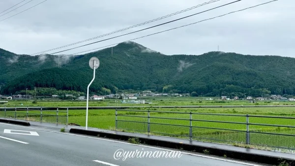 西予市たいよう農園のひまわり畑と山並みの風景