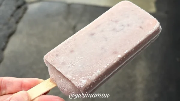 門田商店の昔ながらのアイスキャンディー