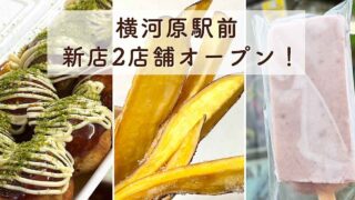 東温市横河原駅前の新店2店舗と老舗アイスを巡る食べ歩き