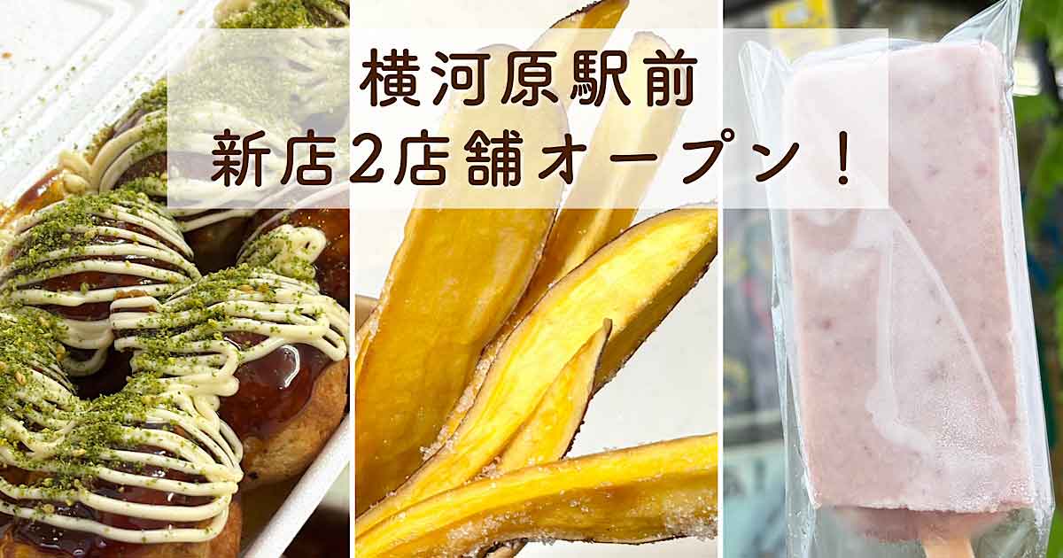 東温市横河原駅前の新店2店舗と老舗アイスを巡る食べ歩き