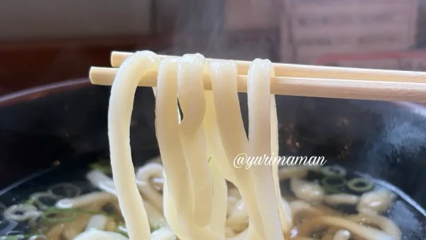 ほどよいコシのあるうどん処 麺楽の麺
