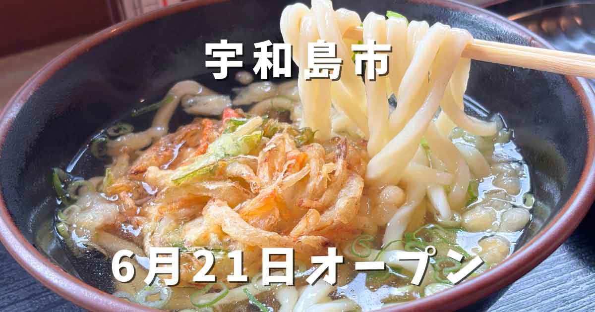 宇和島市保田のうどん処 麺楽で食べたセルフうどん