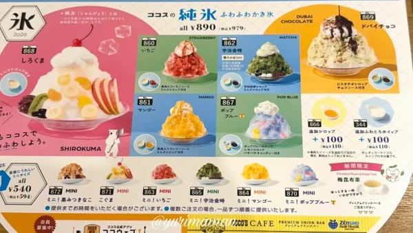 ココス 2026年夏限定 純氷ふわふわかき氷メニュー