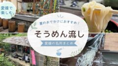 愛媛県で楽しめるそうめん流しまとめ。権現山そうめん流し、観音水そうめん流し、平家谷そうめん流し、坪内家流しそうめんの風景