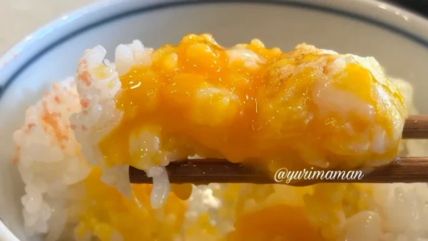 道後天ぷら ご天 本店の半熟たまご天をご飯にのせて実食 - ゆりママんブログ 道後天ぷら ご天 本店の半熟たまご天をご飯にのせて実食