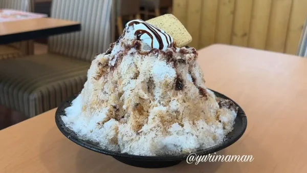 ガスト純氷かき氷 カフェモカ味の全体 - ゆりママんブログ ガスト純氷かき氷 カフェモカ味の全体