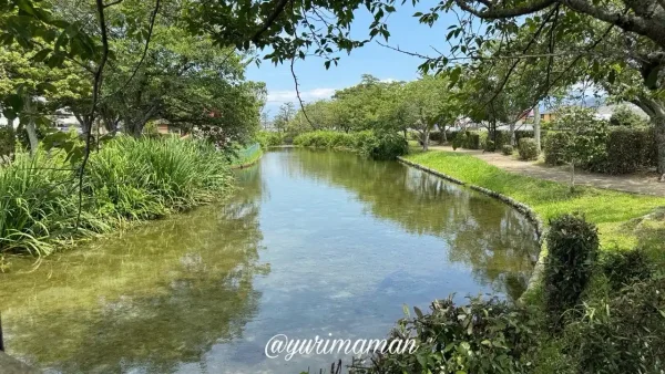 ひょこたん池公園(松前町)池のようす - ゆりママんブログ ひょこたん池公園(松前町)池のようす