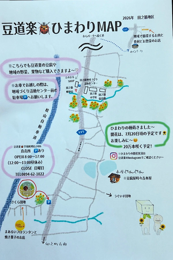 豆道楽ひまわり畑マップ2026(西予市田之筋) - ゆりママんブログ 豆道楽ひまわり畑マップ2026(西予市田之筋)