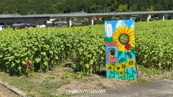 西予市豆道楽ひまわり畑のフォトスポット01 - ゆりママんブログ 西予市豆道楽ひまわり畑のフォトスポット01
