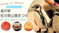 松野町の道の駅虹の森公園まつので楽しむ夏のおでかけ
