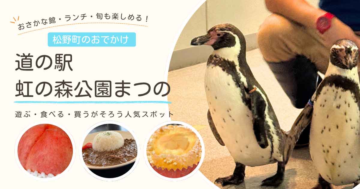 松野町の道の駅虹の森公園まつので楽しむ夏のおでかけ