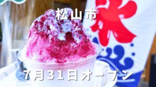 松山市のかき氷NANA'YA（ななや）のぶどう（長野パープル）のかき氷
