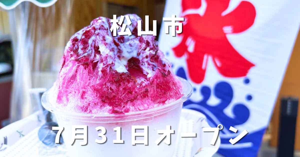 松山市のかき氷NANA'YA（ななや）のぶどう（長野パープル）のかき氷