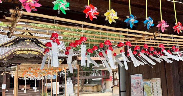 松山市・三津厳島神社の夏詣で設置された風鈴スポット
