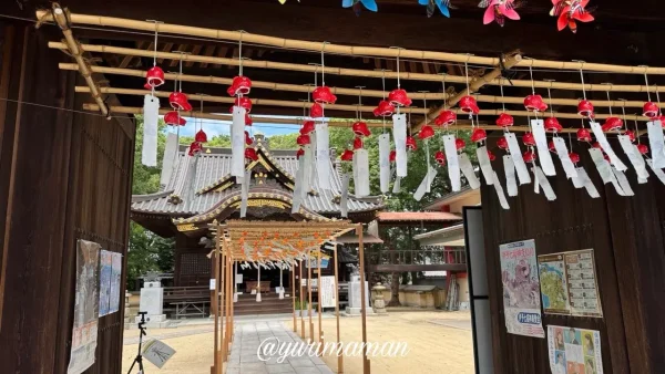 三津厳島神社の境内に飾られた風鈴 - ゆりママんブログ 三津厳島神社の境内に飾られた風鈴
