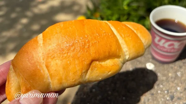 パンメゾンの焼きたて塩パンを公園で味わう様子 - ゆりママんブログ パンメゾンの焼きたて塩パンを公園で味わう様子