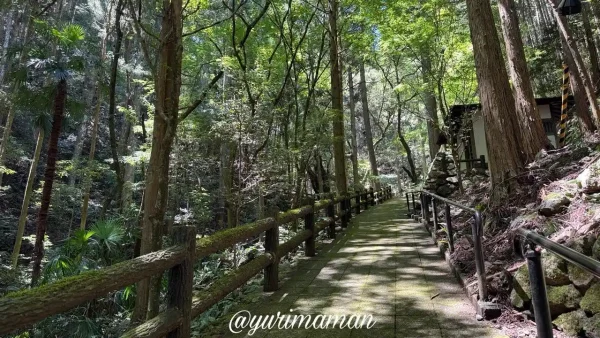 観音水までの遊歩道 - ゆりママんブログ 観音水までの遊歩道